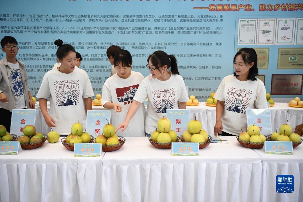 必威无法登陆